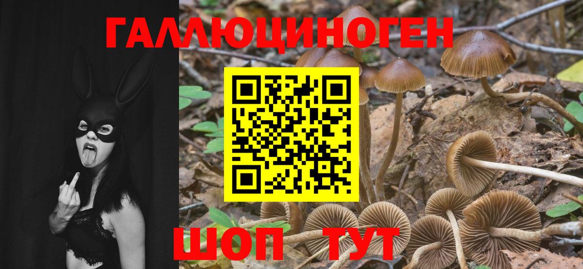 Псилоцибиновые грибы GOLDEN TEACHER Воскресенск